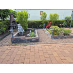 S24 Atlas Ruby// Verkocht o.v.b S24 Atlas Ruby// Verkocht o.v.b