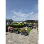 U45 Arcan// Verkocht o.v.b U45 Arcan// Verkocht o.v.b